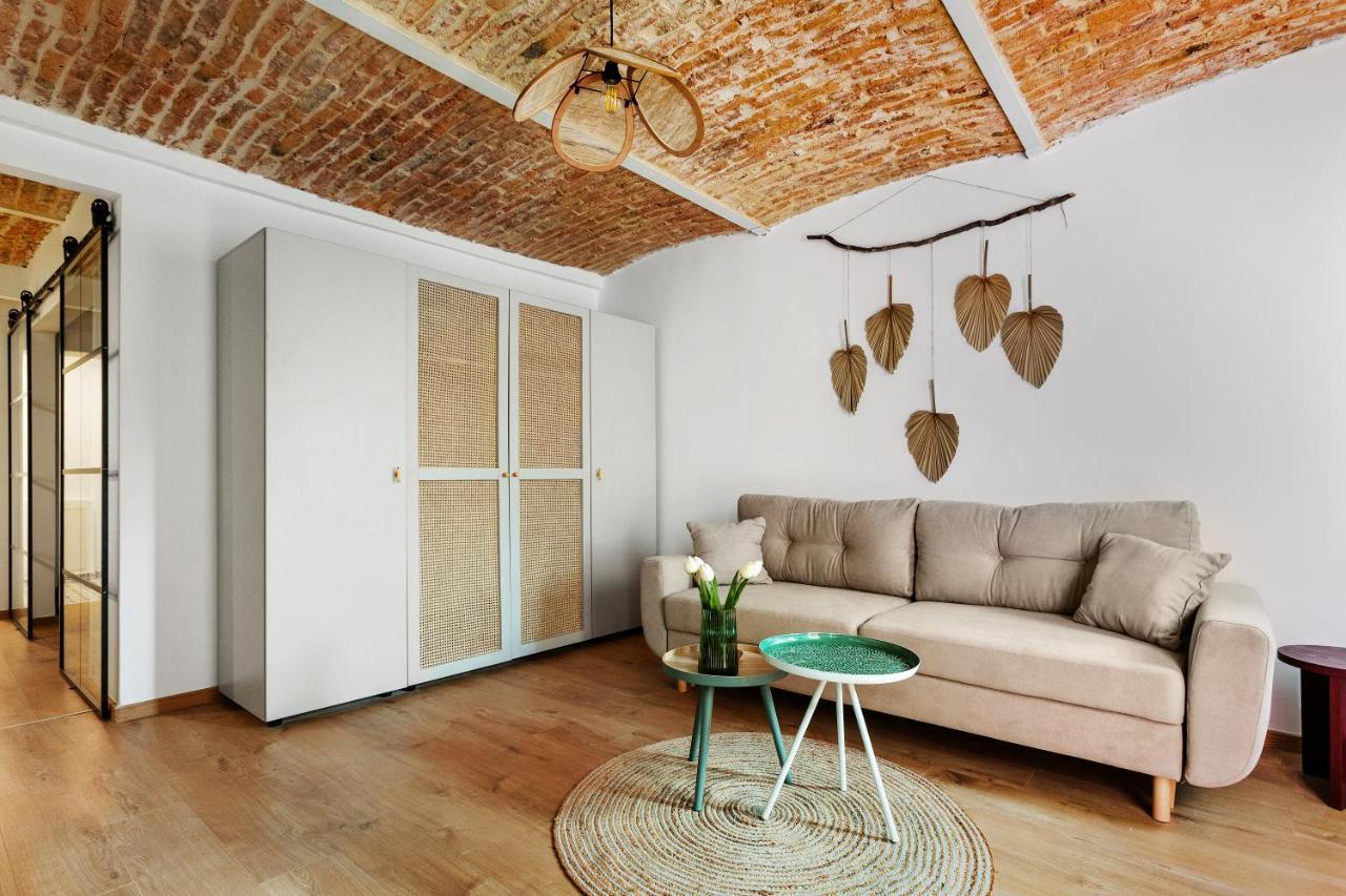 Roua Ludica Apartments Braşov Dış mekan fotoğraf